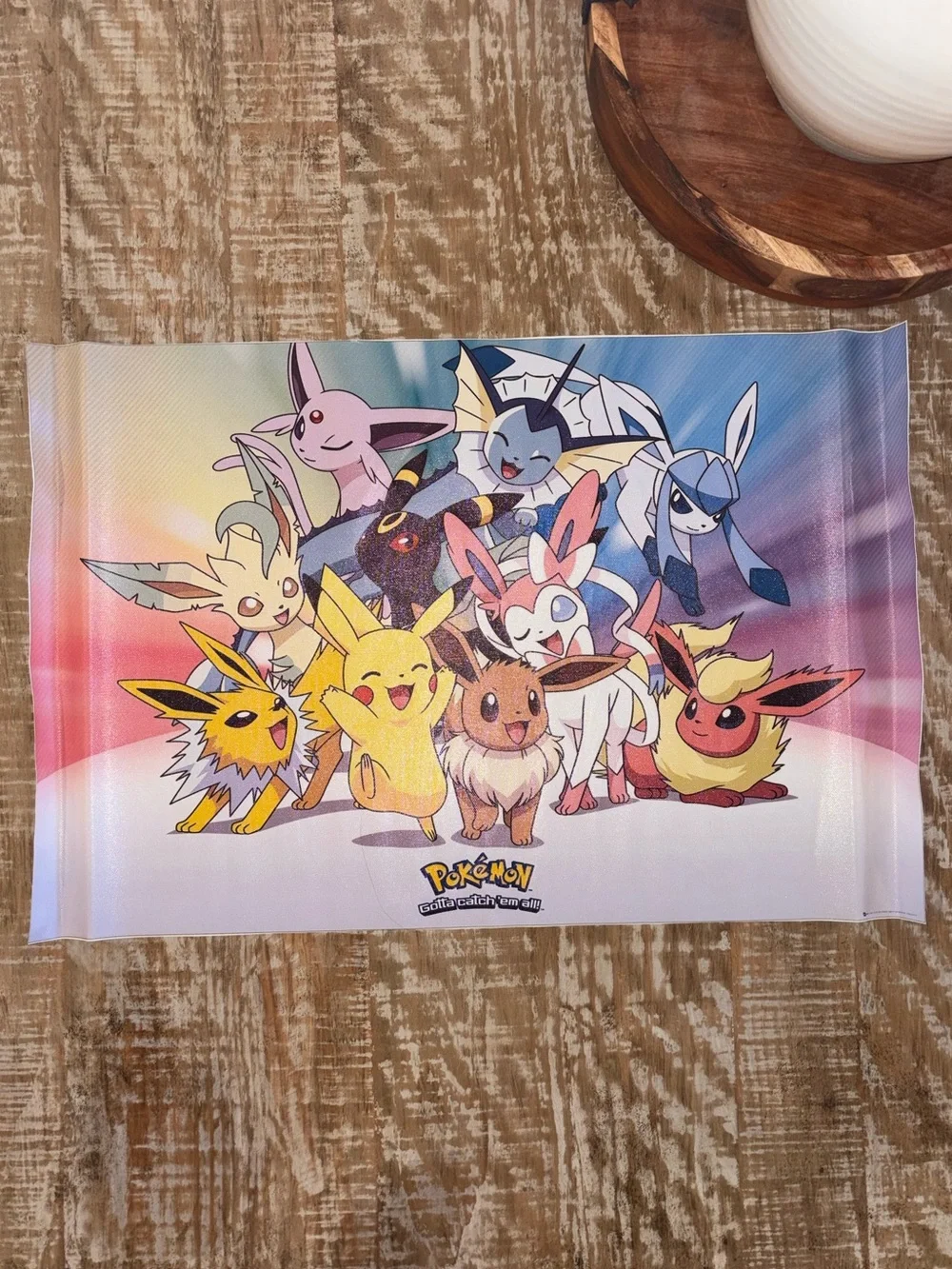 Pokémon Eevee Evolutions Pikachu Fabric Wall Poster Banner 24x16